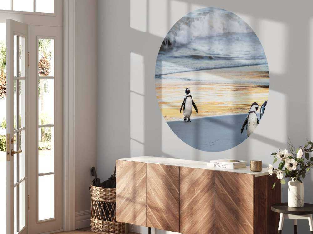 Zwartvoetpinguïns lopen uit de zee