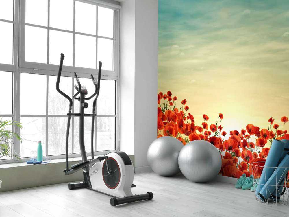 Klaprozen met zonsondergang