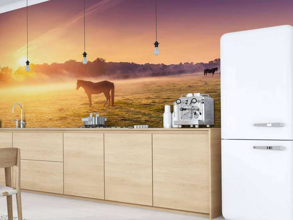 Grazende paarden bij zonsondergang