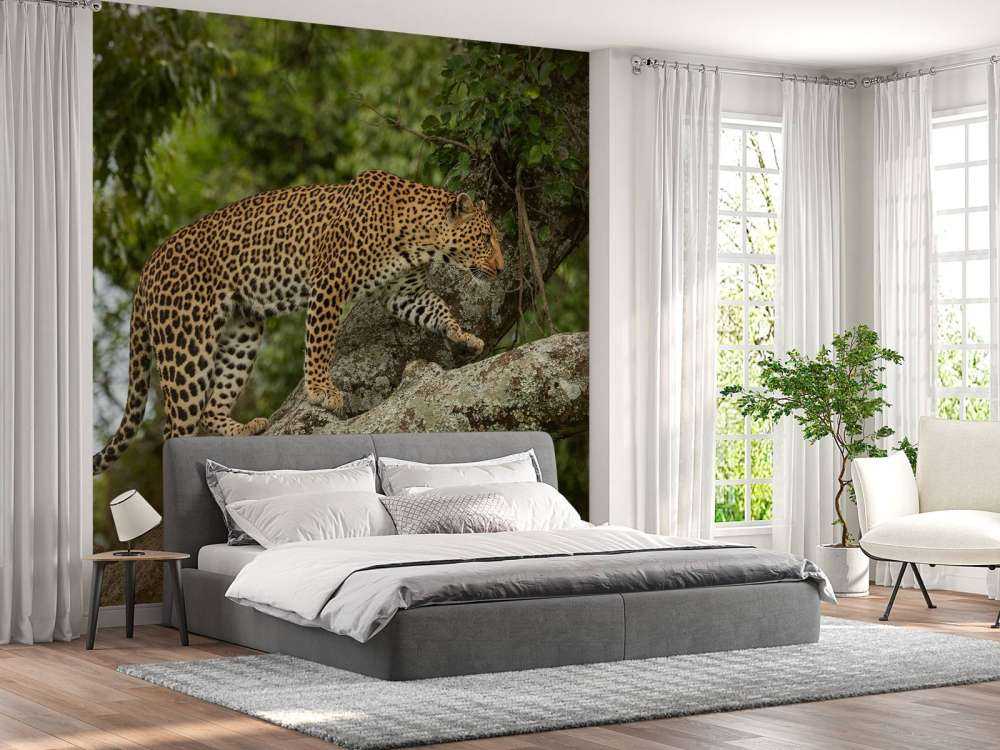 Luipaard klimt in een boom