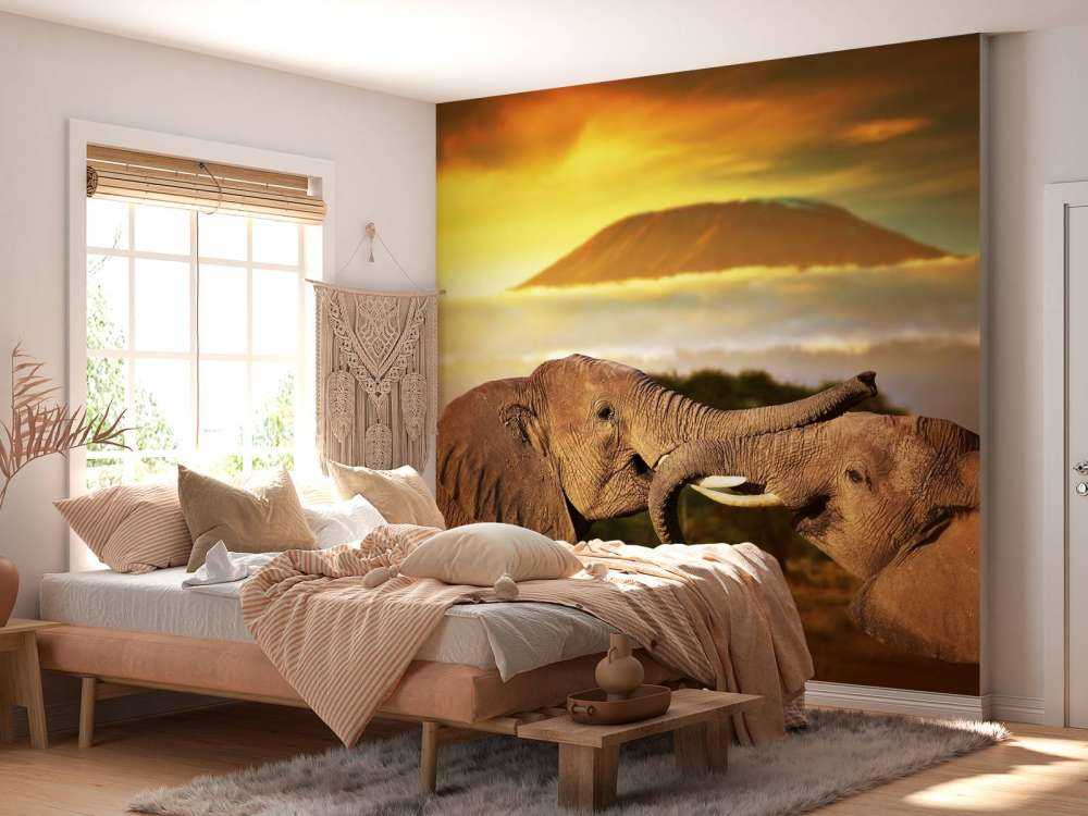 Olifanten spelen bij zonsondergang