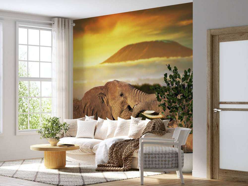 Olifanten spelen bij zonsondergang