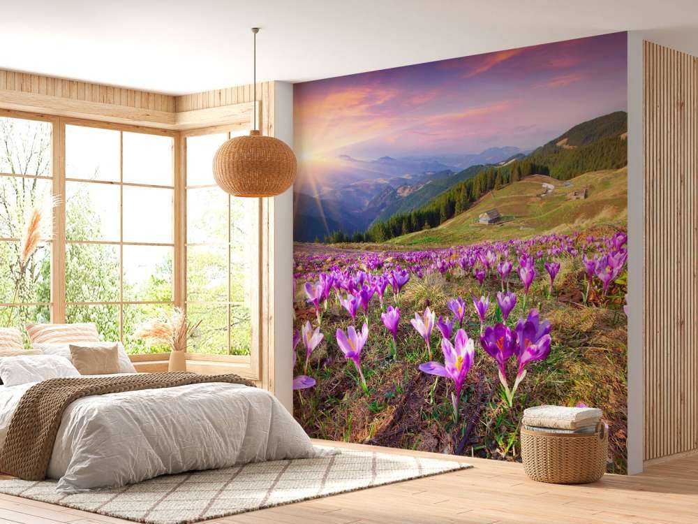 Bloemenveld van krokussen in de bergen