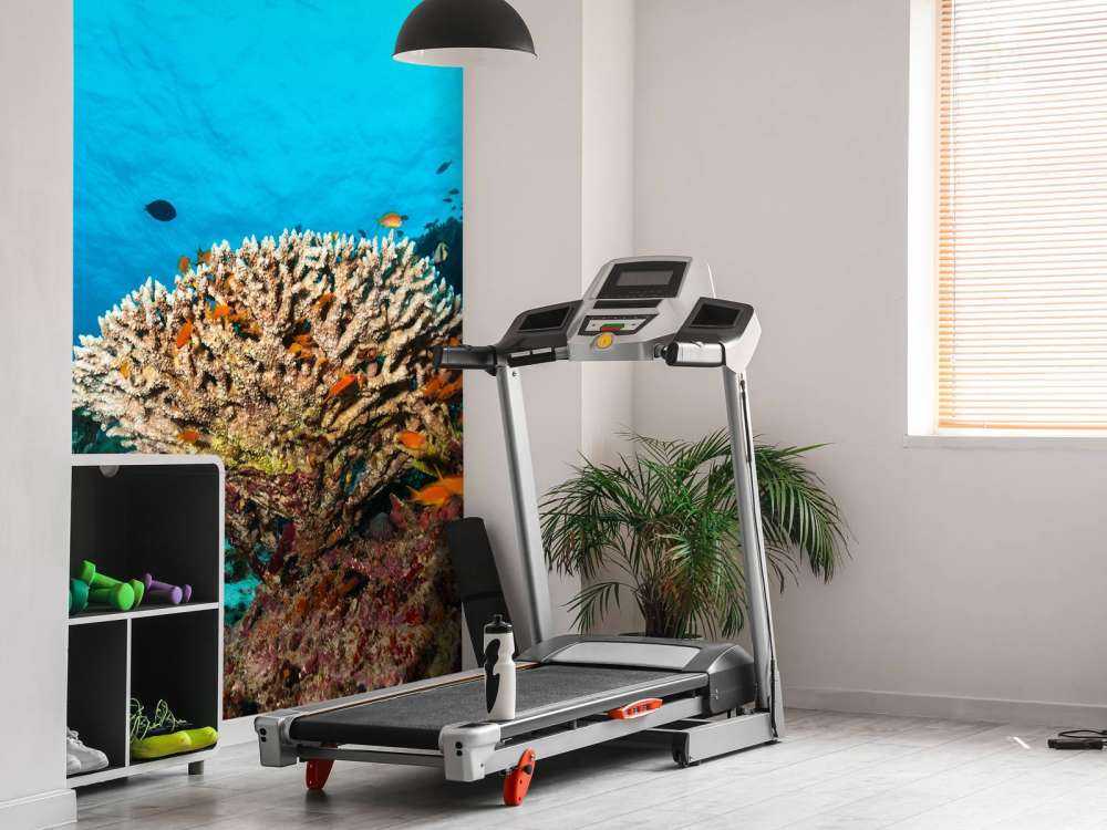 Koraalrif op de bodem van de Indische Oceaan