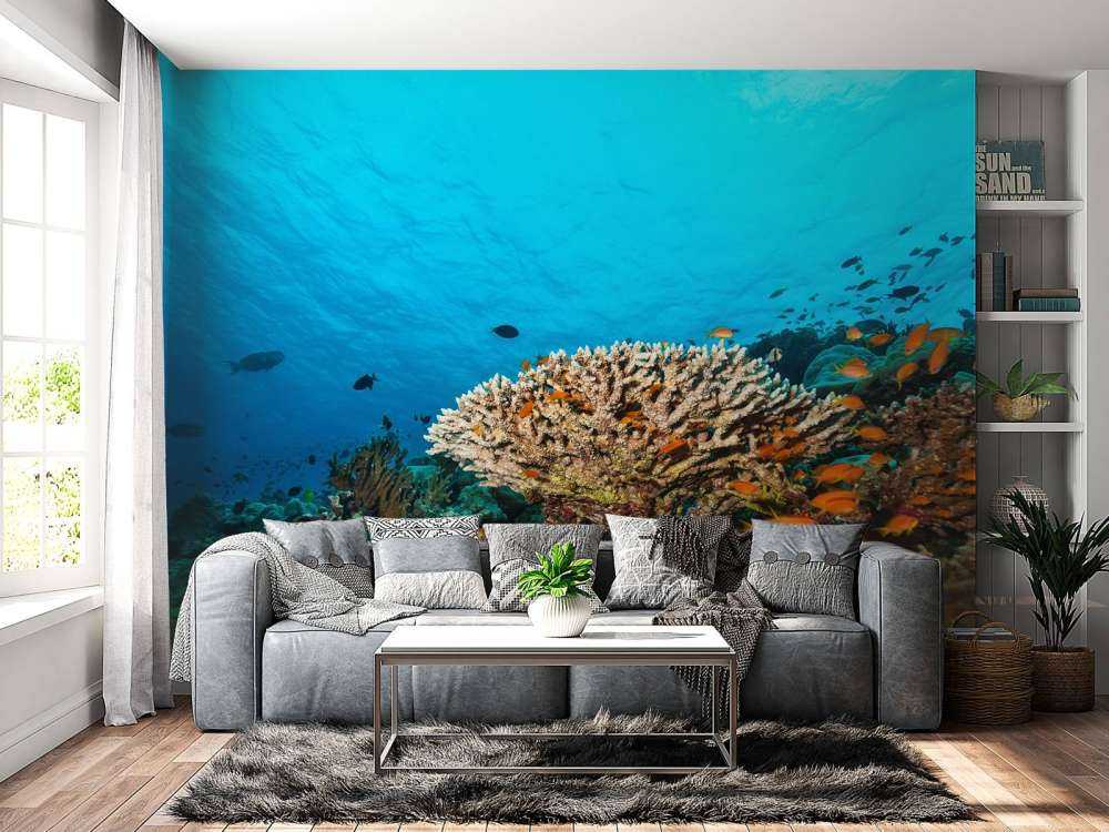 Koraalrif op de bodem van de Indische Oceaan