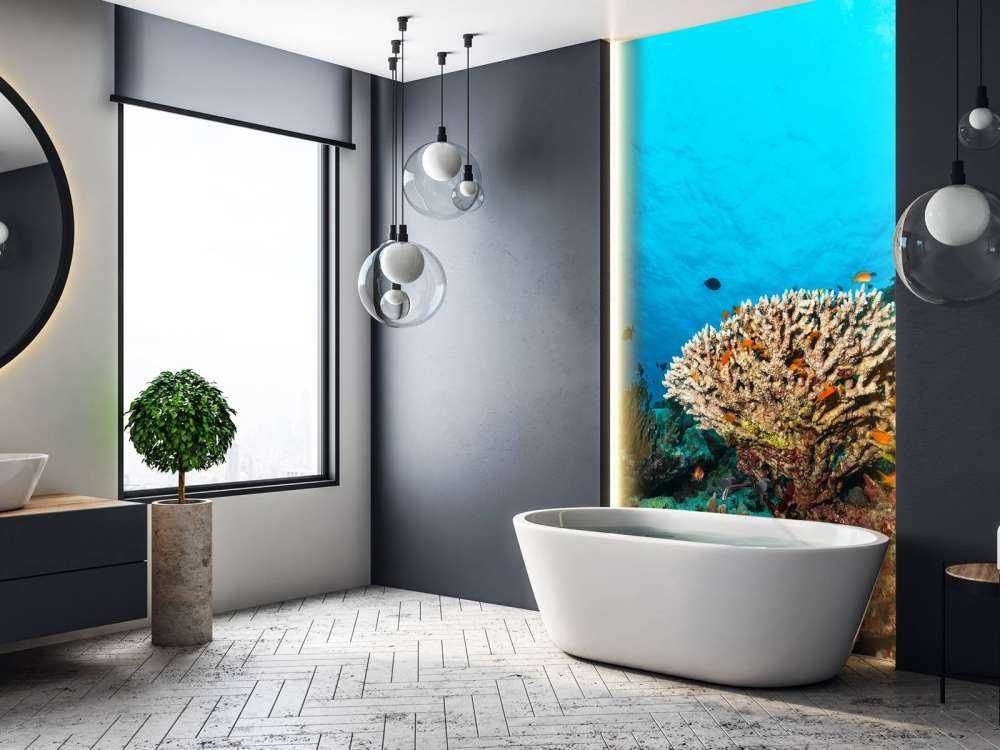 Koraalrif op de bodem van de Indische Oceaan