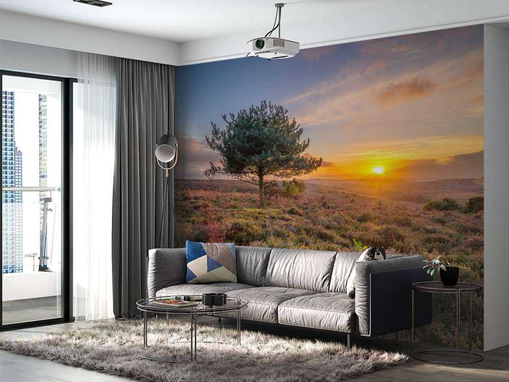 Zonsondergang op de heide