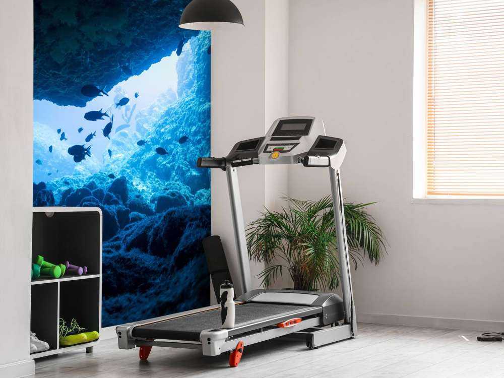 Smalle grot met vissen