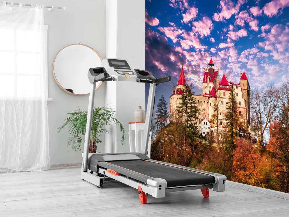 Bran Castle in Roemenië