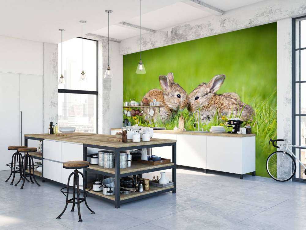 Twee baby haasjes in het gras