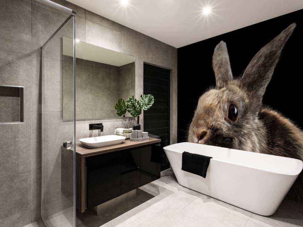 Konijn met een zwarte achtergrond