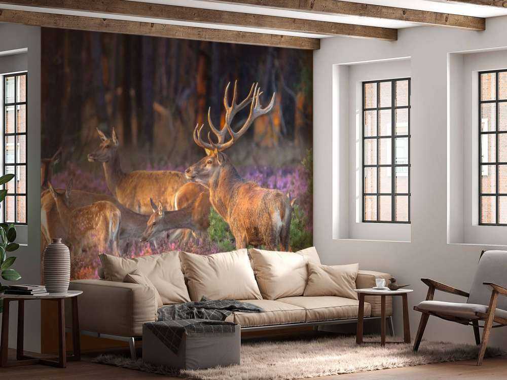 Groep herten op de Veluwe