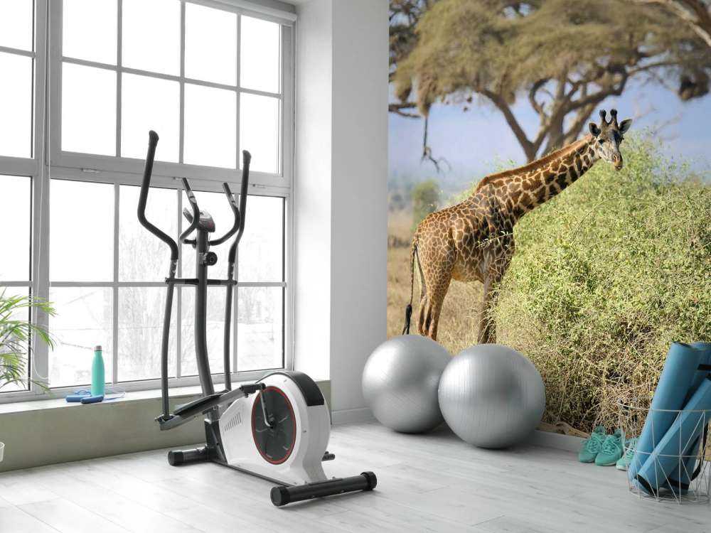 Schattige Giraffe tussen struiken