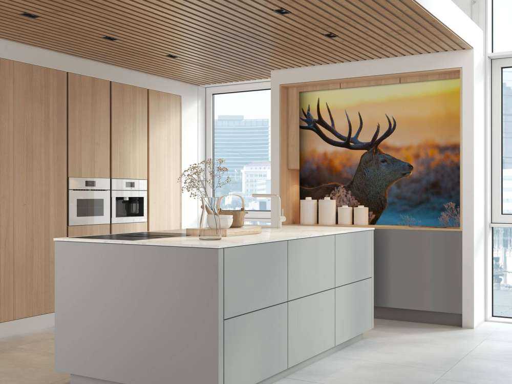 Edelhert met zichtbaar Gewei