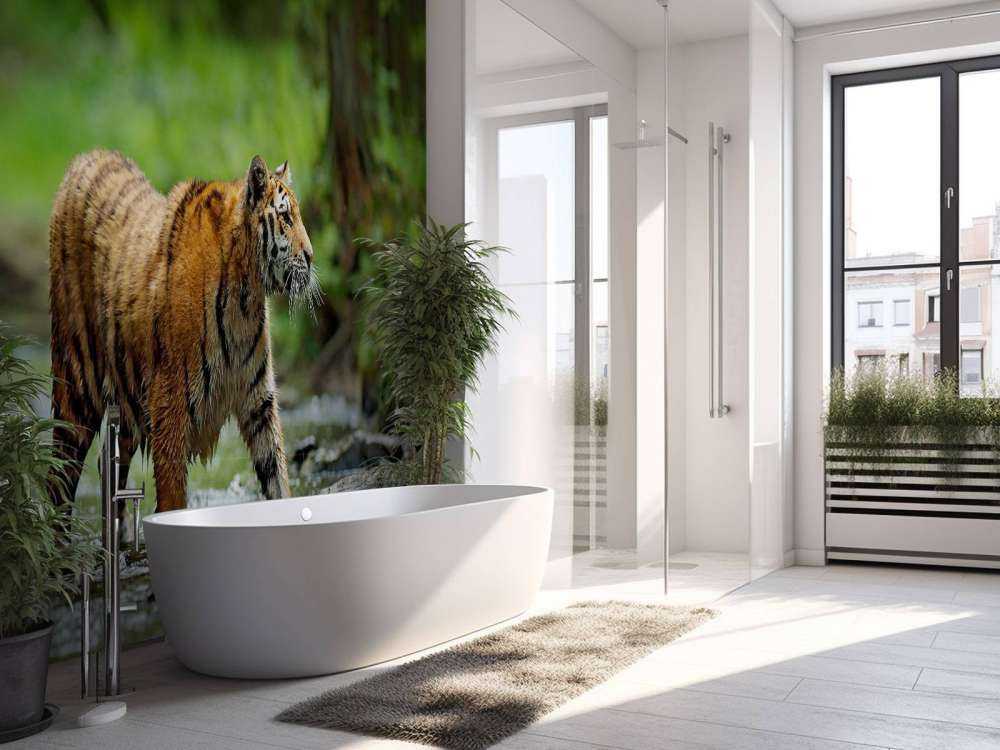 Tijger in Russische natuur