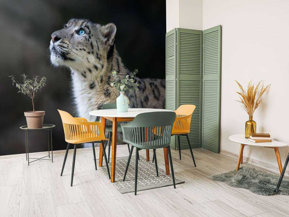 Sneeuwpanter met blauwe ogen