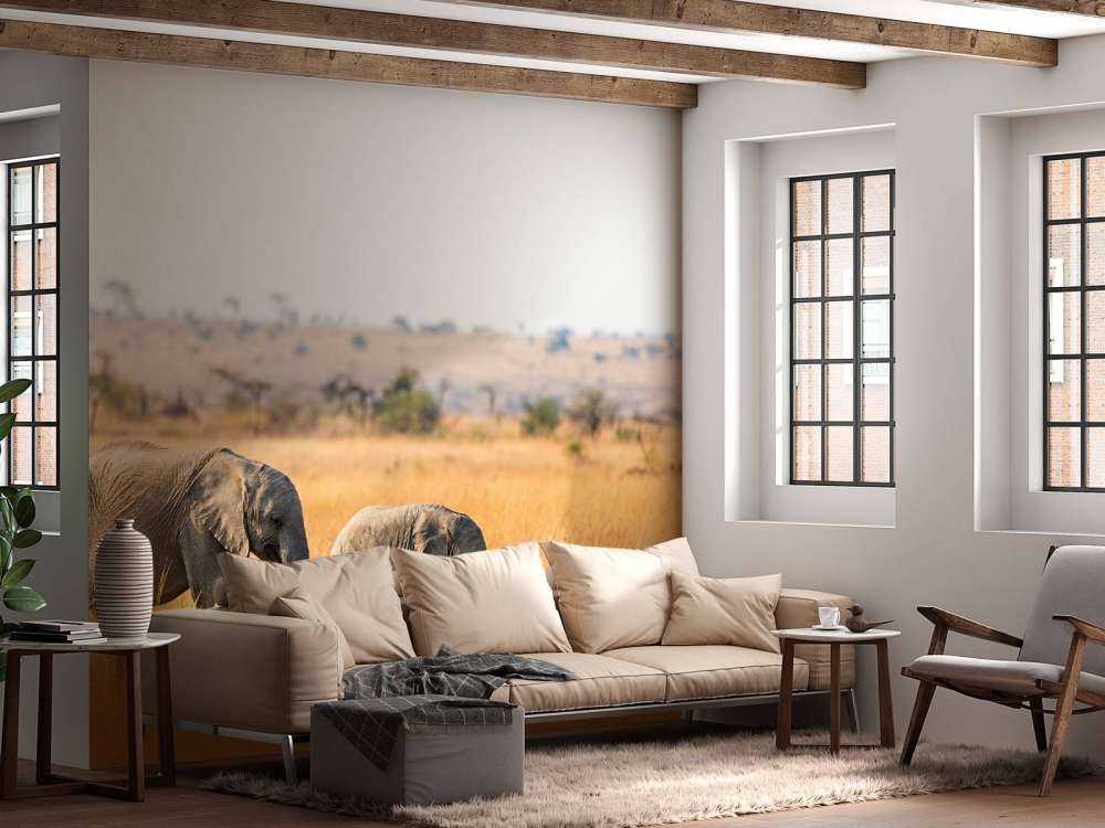 Olifant en Baby Olifant in Afrika