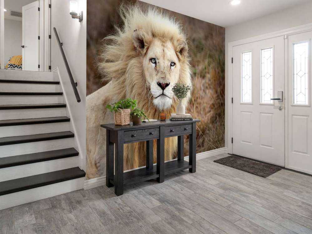 Harige Leeuw in de natuur