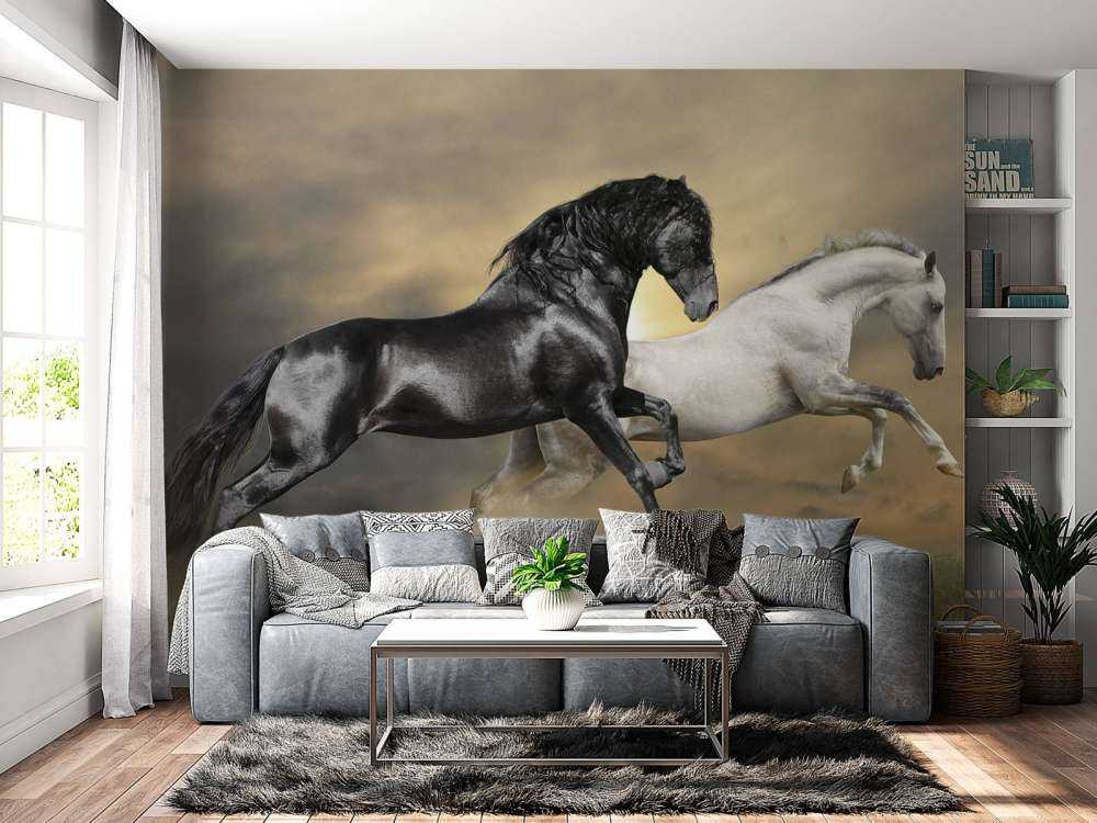 Zwart & Wit Paard op Gras