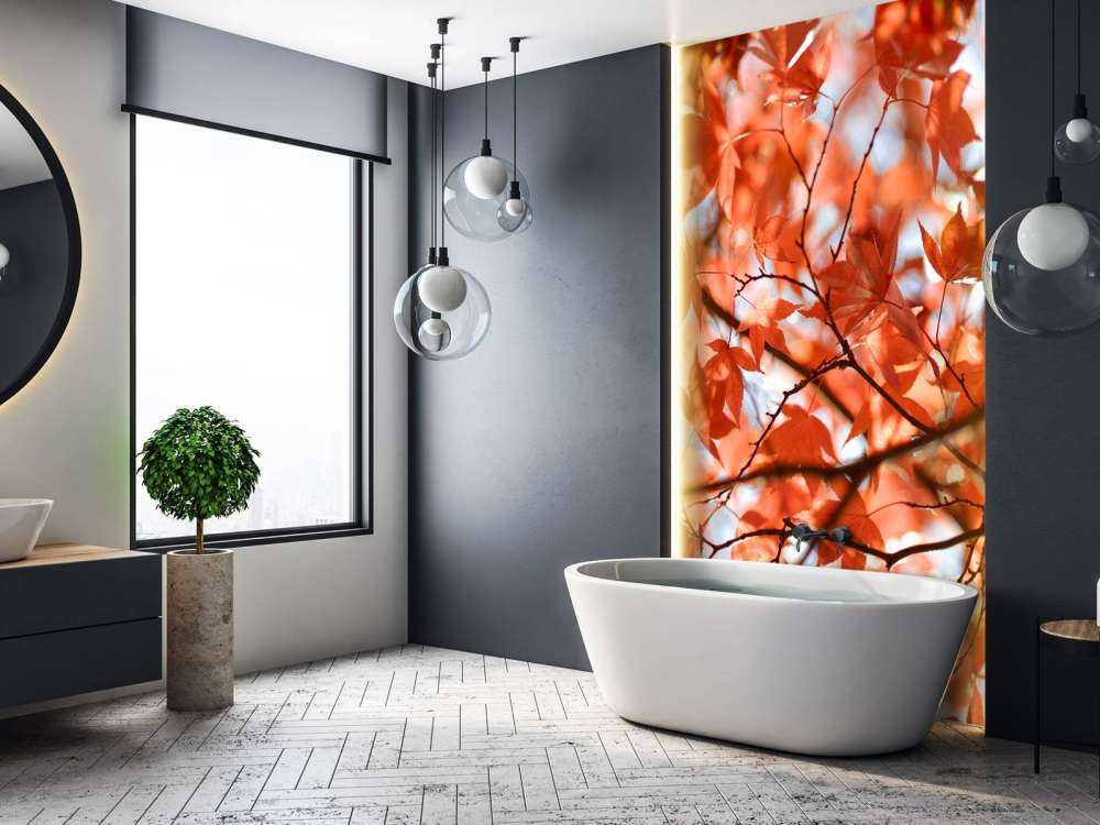 Kleurrijke herfstbladeren