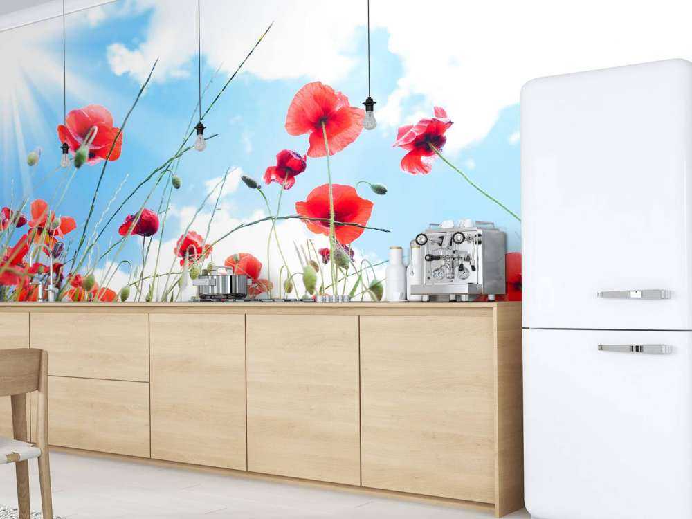 Klaprozen in het voorjaar