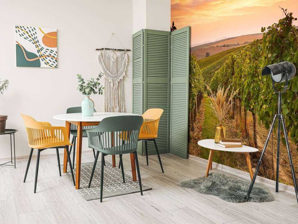 Wijngaard bij zonsondergang