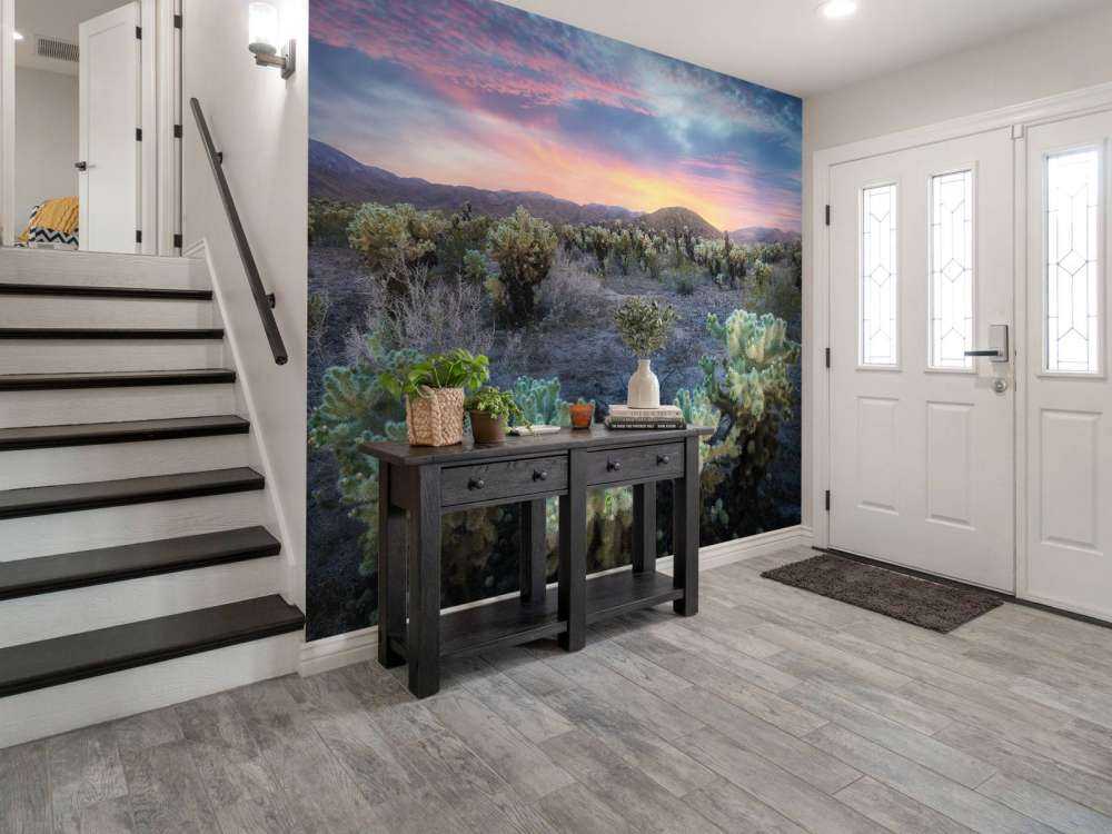 Cactusveld bij zonsondergang