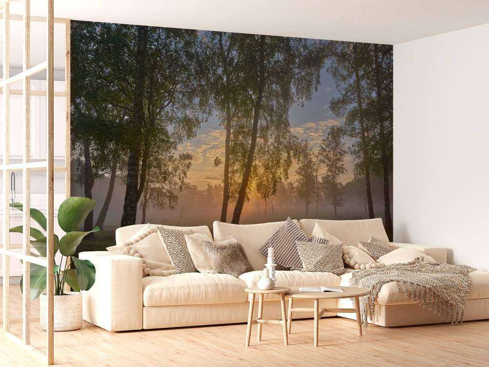 Zonsopgang bij de berken