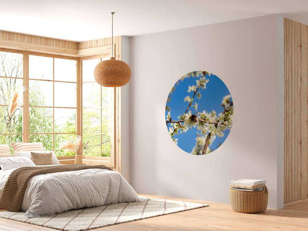 Hommel met witte bloesems