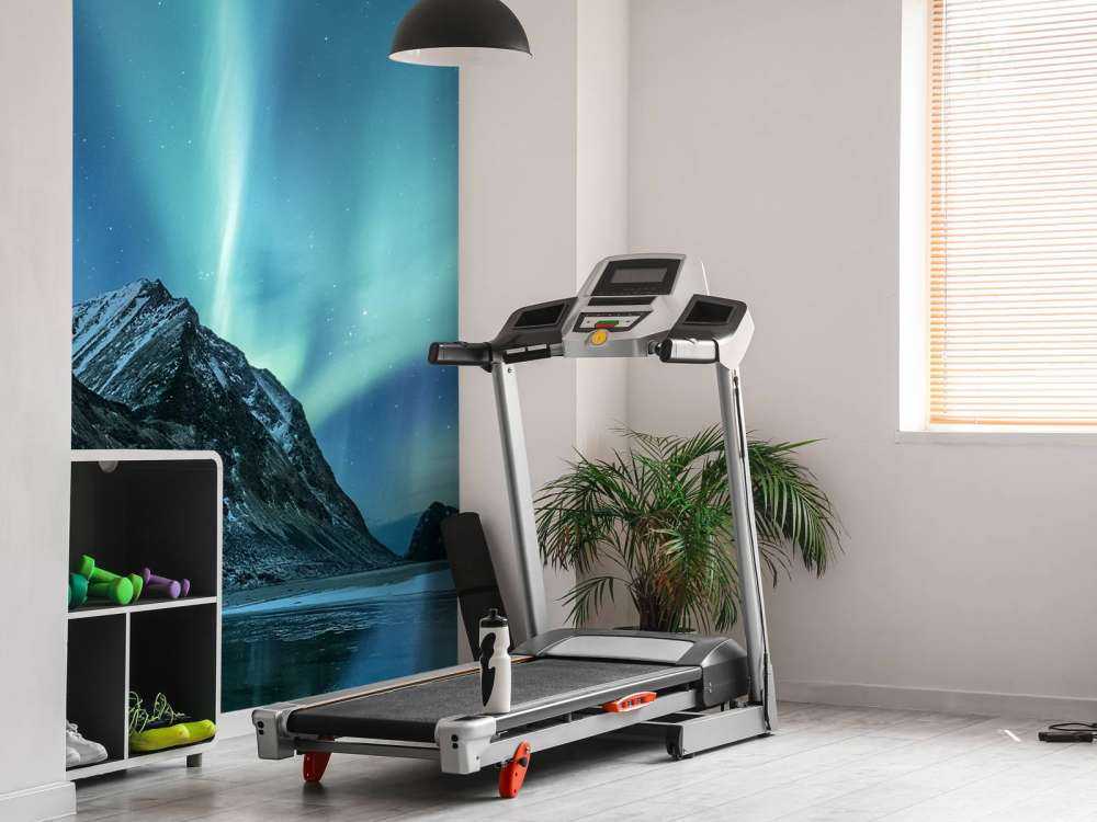 Felblauw Noorderlicht in Canada