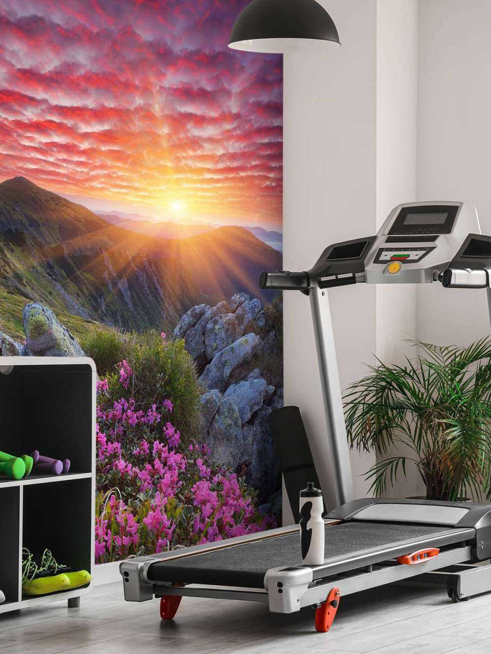 Paarse zonsondergang