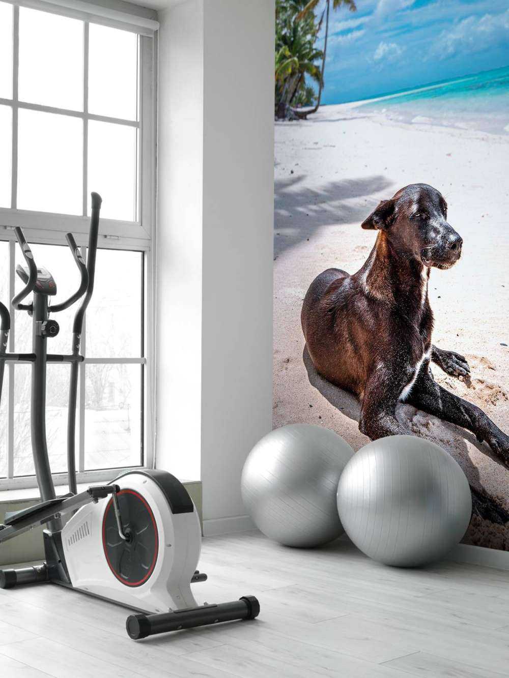 Zwarte hond aan tropisch strand