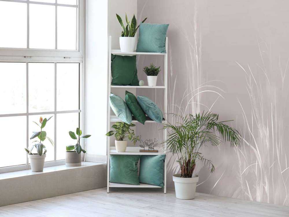 Nature Mood Misty Blue