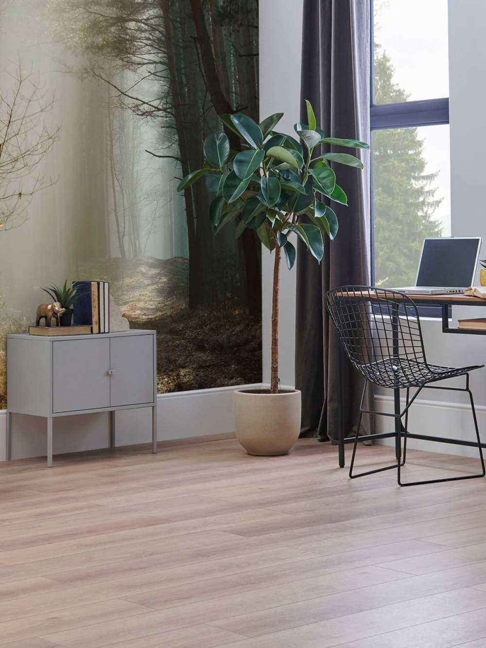 Zonnestralen in een Herfstig Bos