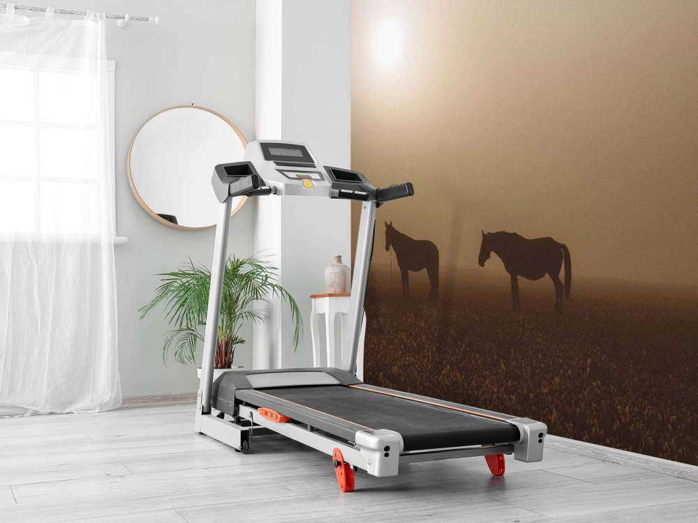 Paarden in de Nevelige Weide