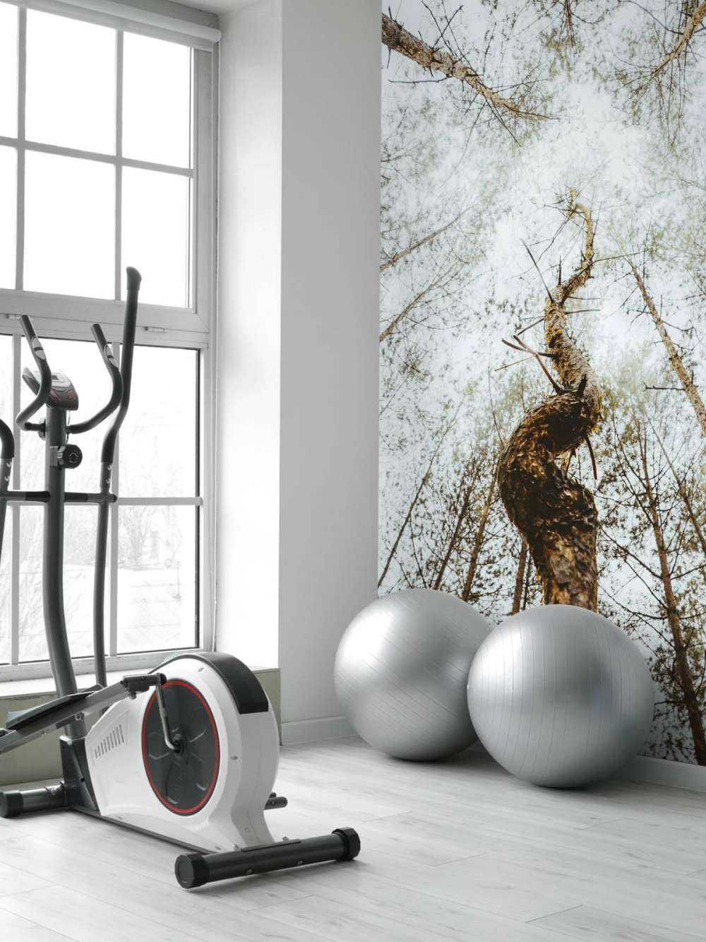 De Dansende Boomstam