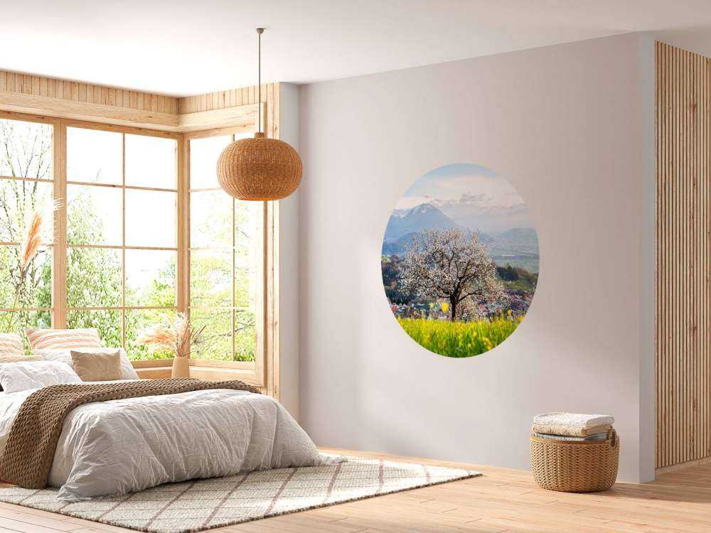 Bloesemboom in bergdal bij lentezon