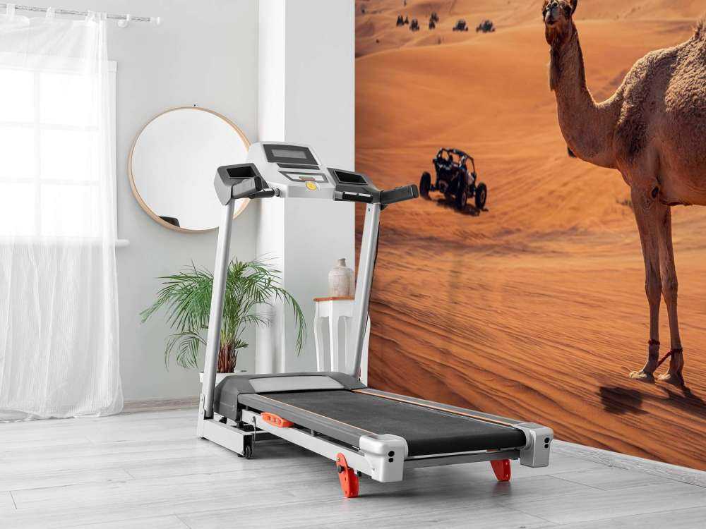 Offroad avontuur in de woestijn