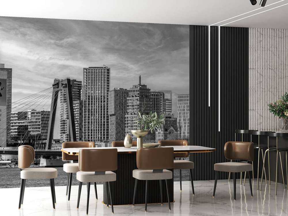 Zwart-Wit Skyline met Willemsbrug