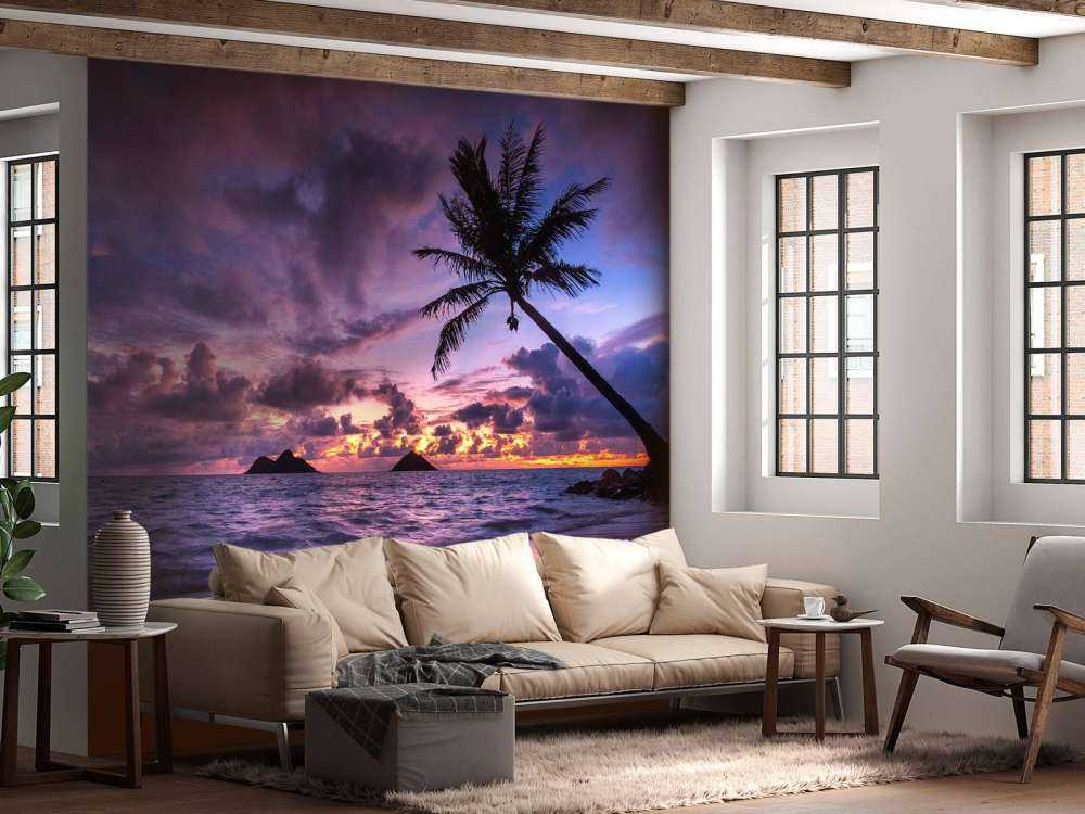 Tropische Kust Bij Paarse Zonsondergang