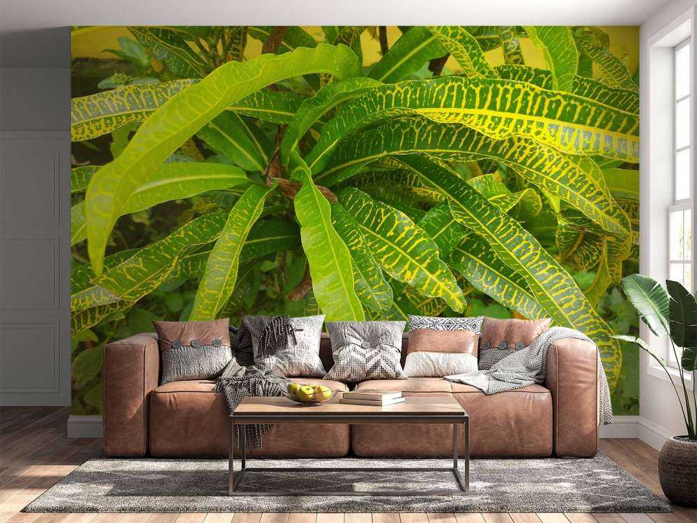 Geel-groene plant
