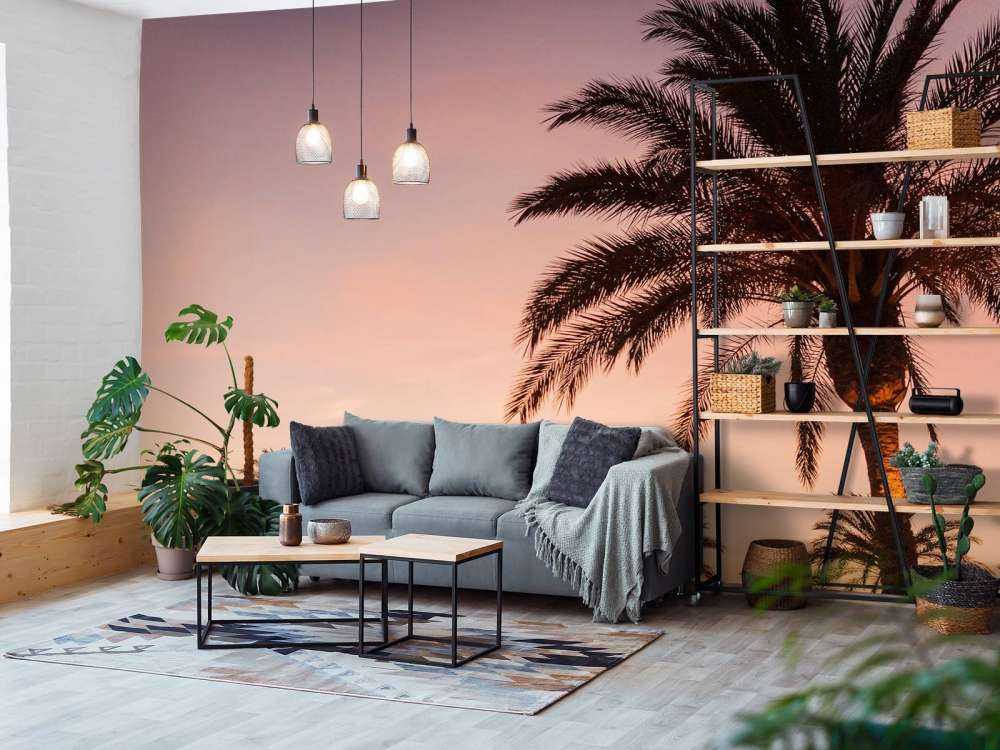 Palmbomen en zonsondergang