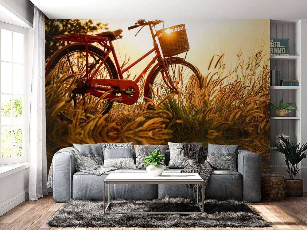 Fiets bij zonsondergang