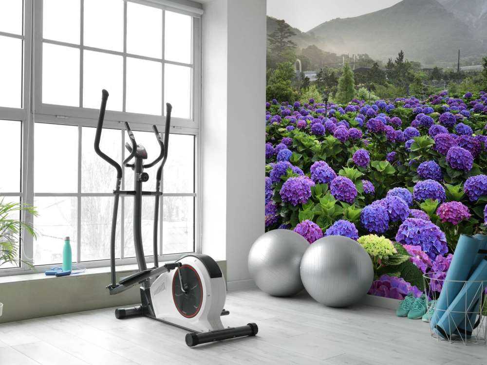 Hortensia's in Beitou