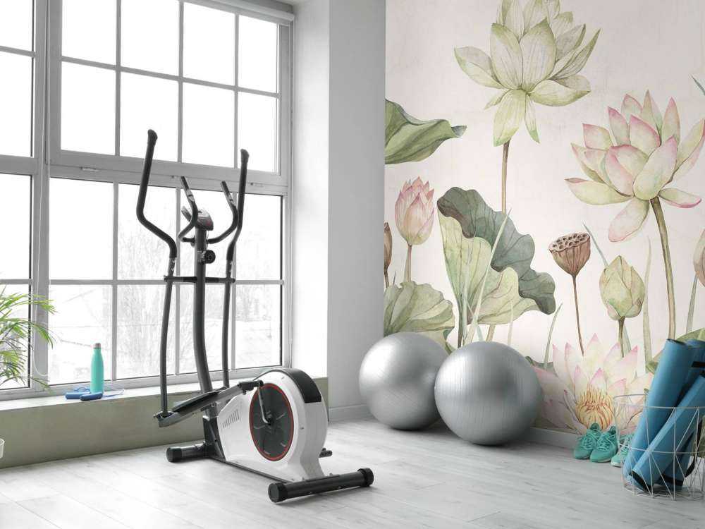 Lovely Water Lillies