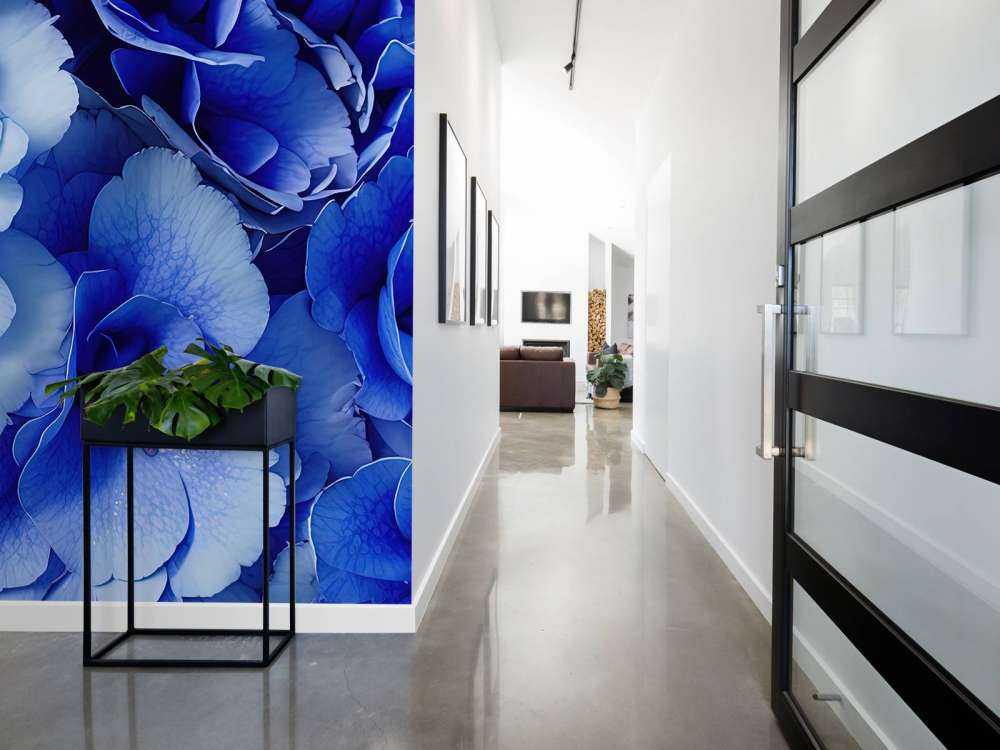 Close-up van blauwe hortensia's