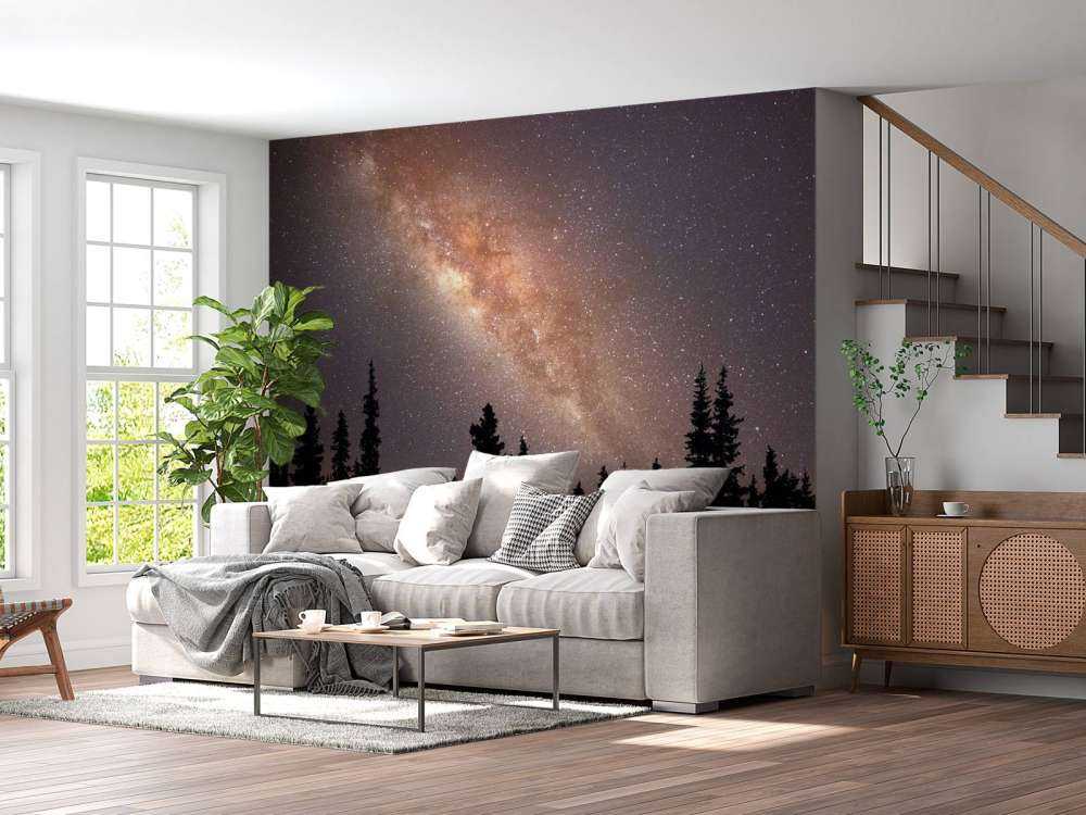 Melkweg boven silhouet van bomen