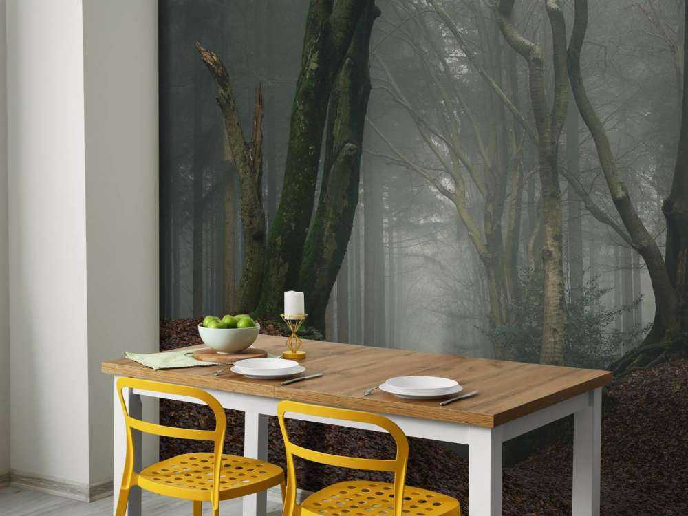 Pad door mysterieus bos