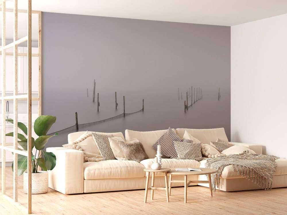 Visnetten in de mist