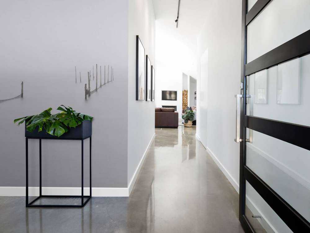 Visnetten in de mist